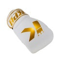 King BGK Pelis Lederen Bokshandschoenen goud