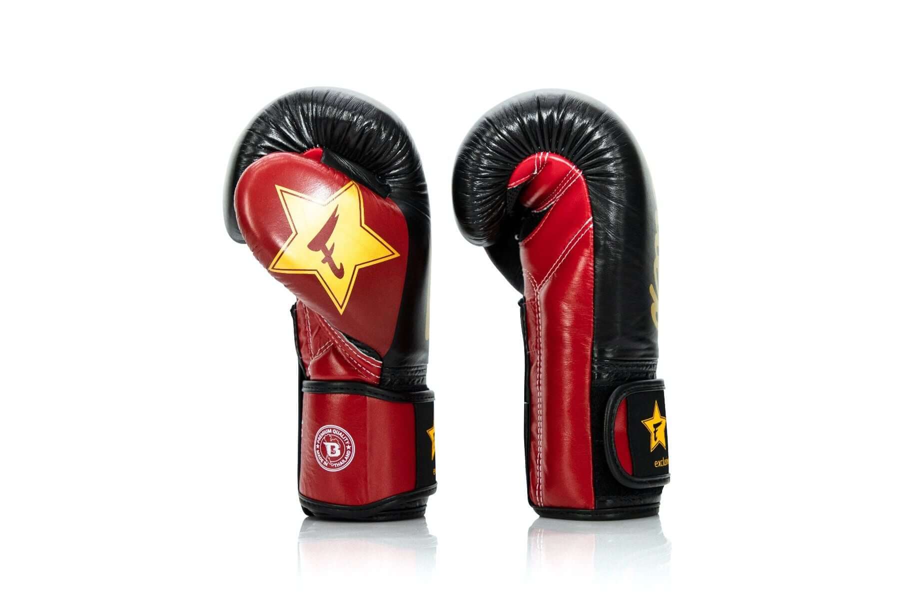 Fairtex x Booster FXB V2 Boxing Gloves Black Silver