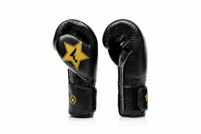 Fairtex x Booster FXB BG V2 BK/GD Boxing Gloves / Bokshandschoenen Zwart/Goud | Muay Thai Leder