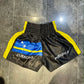  Booster Curacao kick boks short 