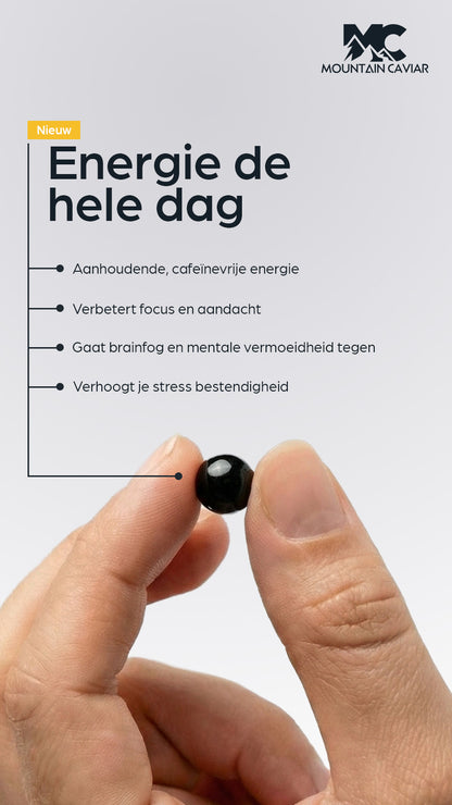 Mountain Caviar Shilajit Softgels – Zuiver, Precies en Goed Opneembaar